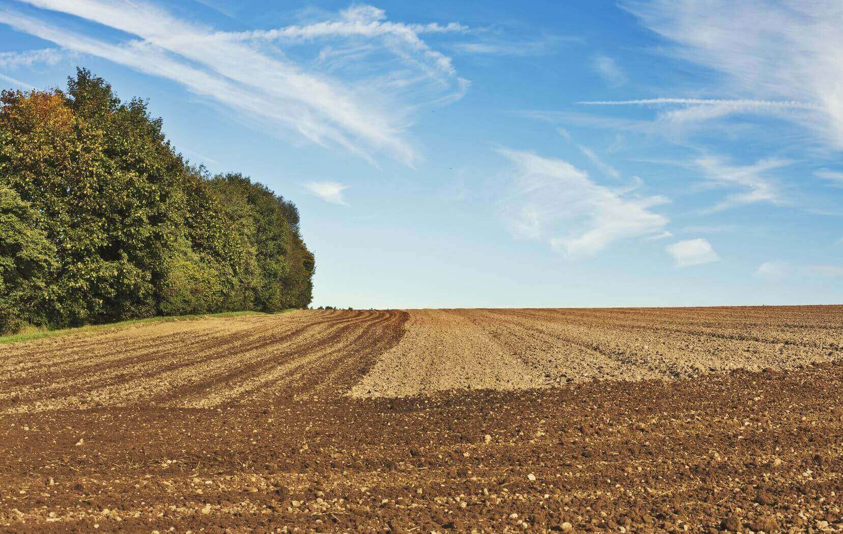 Agriculture For Sale